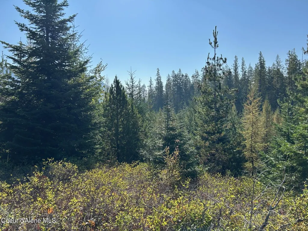 Tract 6 Usfs 2294 Clark Fork ID 83811