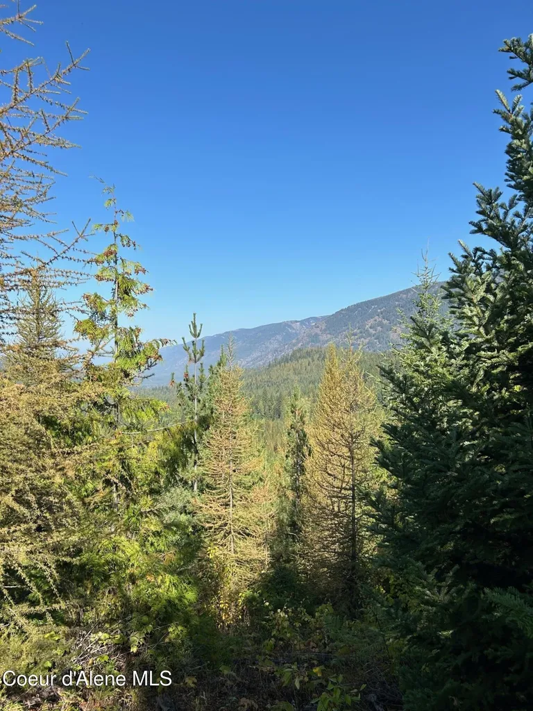 Tract 6 Usfs 2294 Clark Fork ID 83811