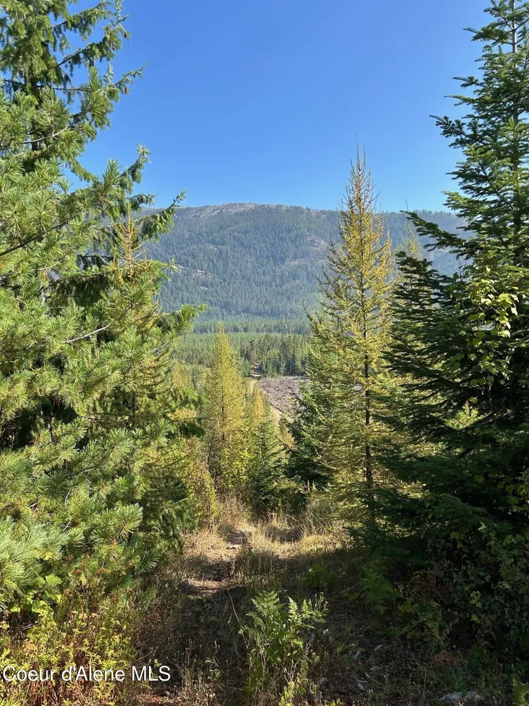 Tract 6 Usfs 2294 Clark Fork ID 83811