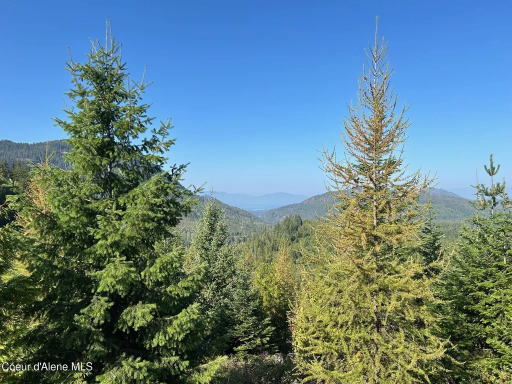 Tract 6 Usfs 2294 Clark Fork ID 83811