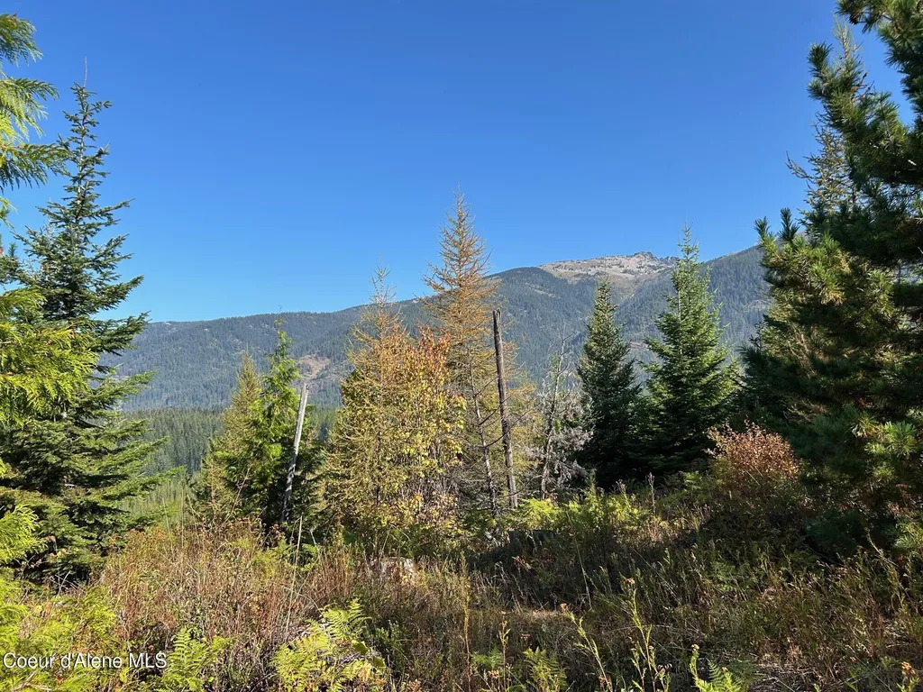 Tract 6 Usfs 2294 Clark Fork ID 83811