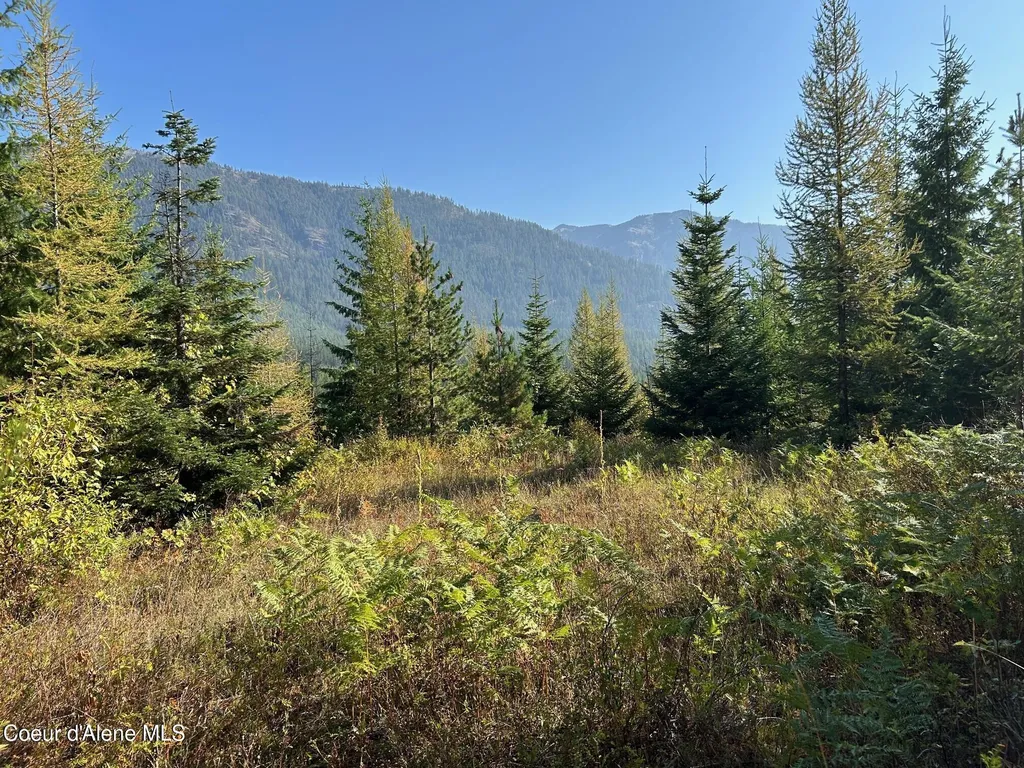 Tract 6 Usfs 2294 Clark Fork ID 83811