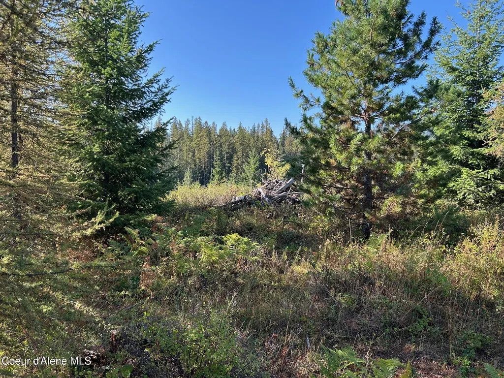 Tract 6 Usfs 2294 Clark Fork ID 83811