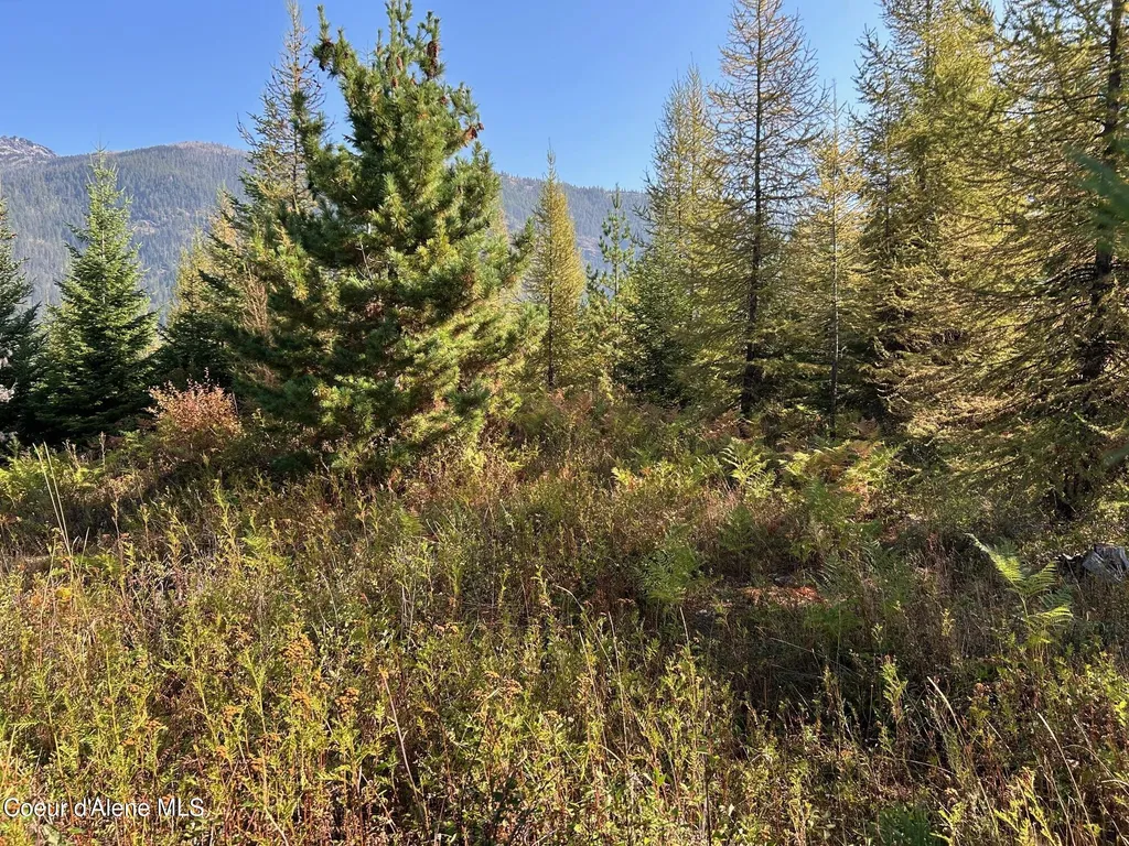 Tract 6 Usfs 2294 Clark Fork ID 83811