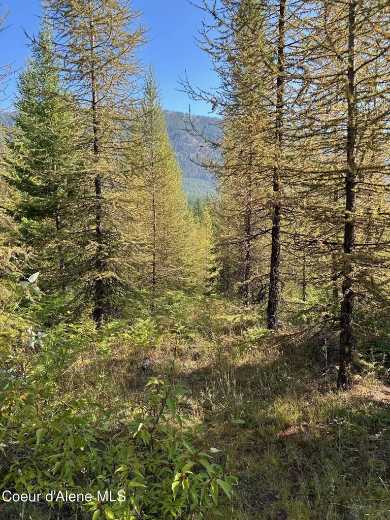 Tract 6 Usfs 2294 Clark Fork ID 83811