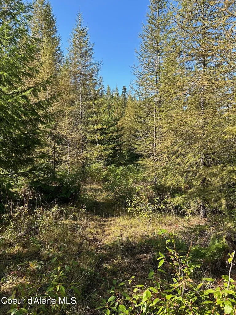 Tract 6 Usfs 2294 Clark Fork ID 83811