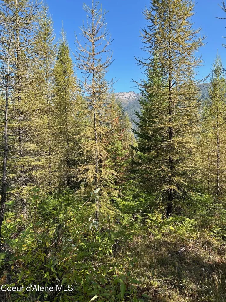Tract 6 Usfs 2294 Clark Fork ID 83811