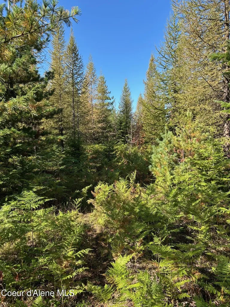 Tract 6 Usfs 2294 Clark Fork ID 83811
