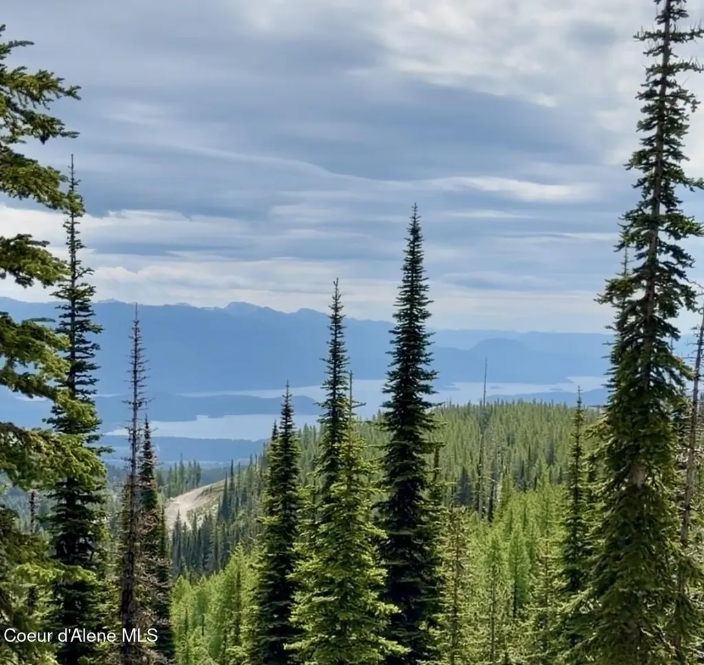 L3 B2 Tall Timber Sandpoint ID 83864