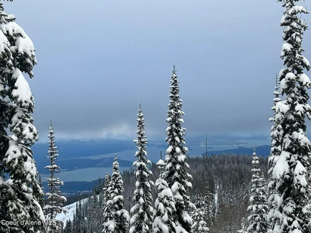 L3 B2 Tall Timber Sandpoint ID 83864