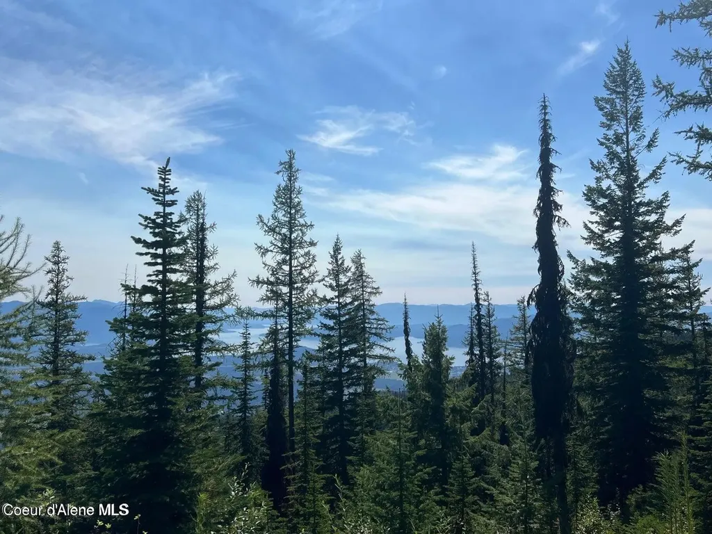 L3 B2 Tall Timber Sandpoint ID 83864