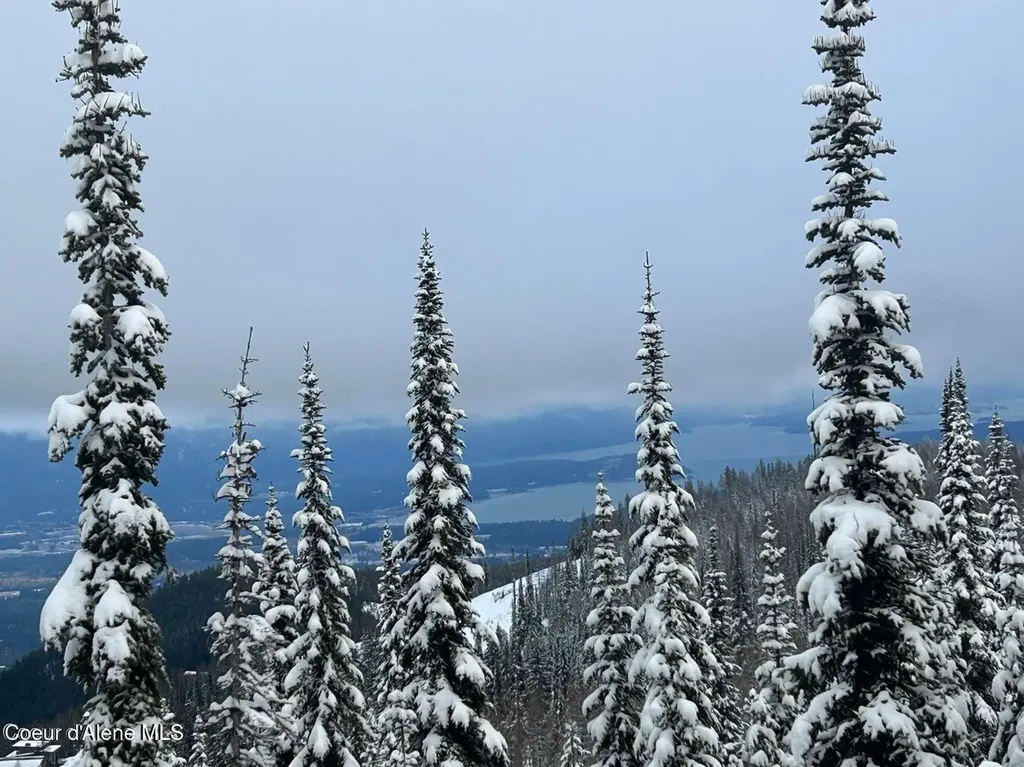 L3 B2 Tall Timber Sandpoint ID 83864