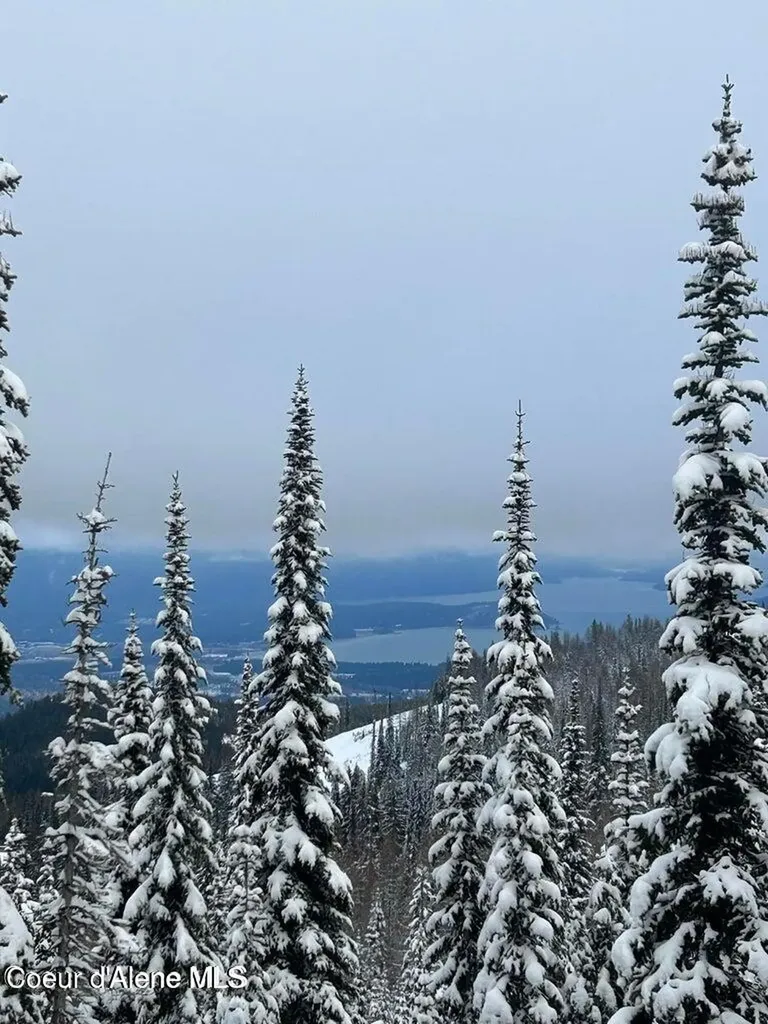 L3 B2 Tall Timber Sandpoint ID 83864