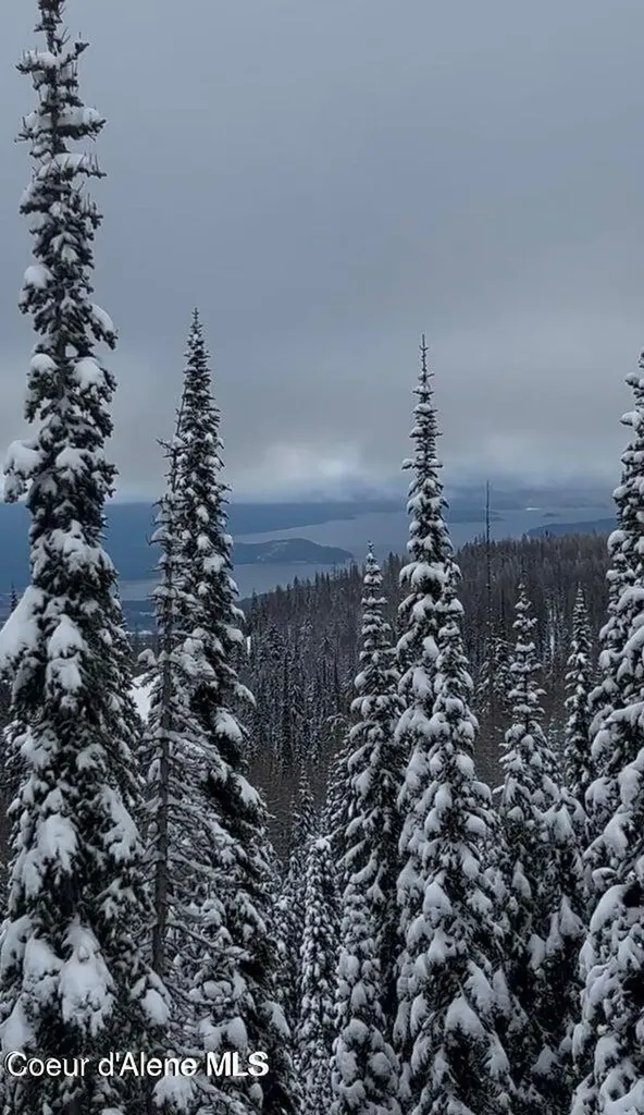 L3 B2 Tall Timber Sandpoint ID 83864