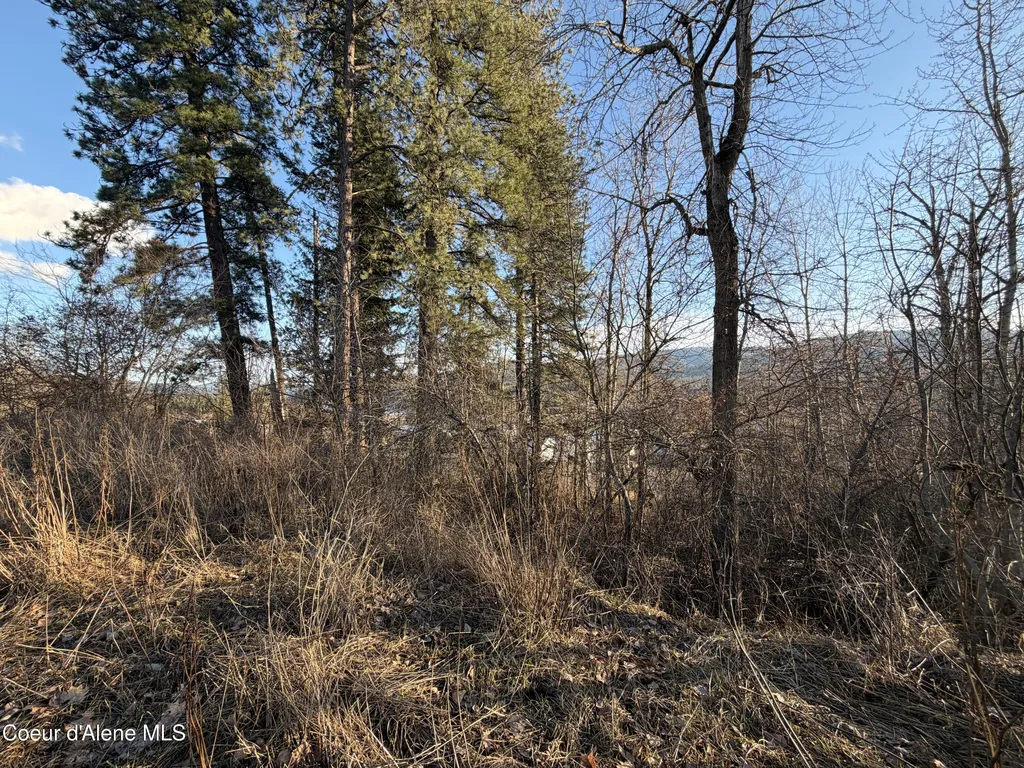 Nna Summit Avenue Priest River ID 83856