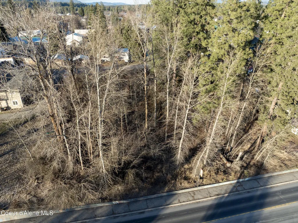 Lot 5 & 6 Highway 2 Priest River ID 83856