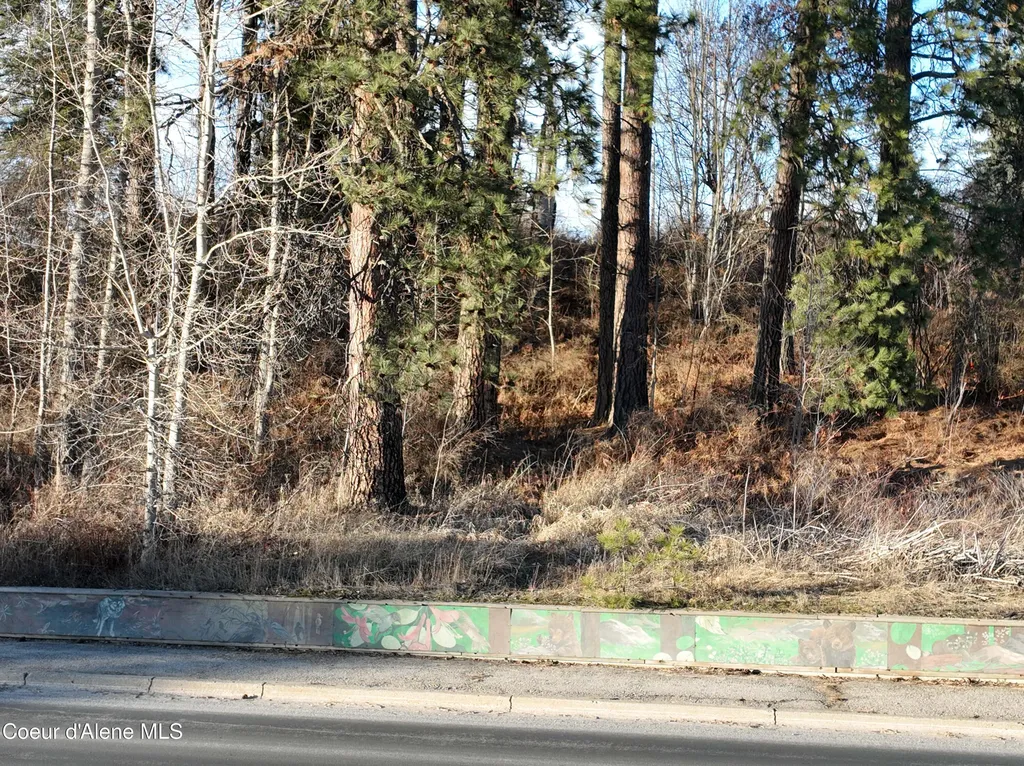 Lot 5 & 6 Highway 2 Priest River ID 83856