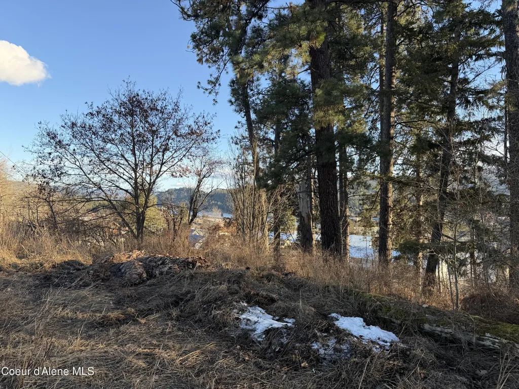 Lot 5 & 6 Highway 2 Priest River ID 83856