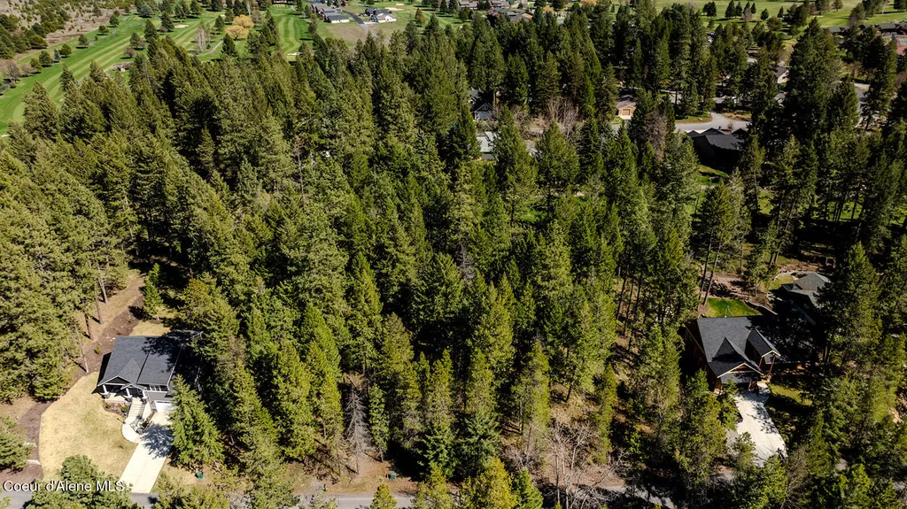 Nna Hanaford (lot 9) Blanchard ID 83804
