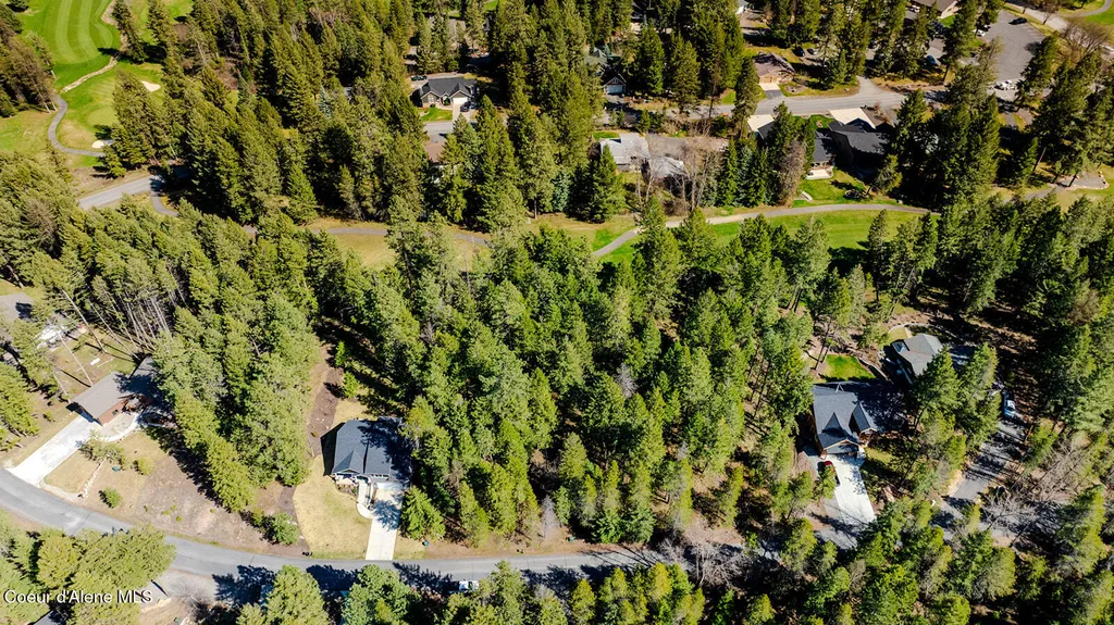 Nna Hanaford (lot 9) Blanchard ID 83804