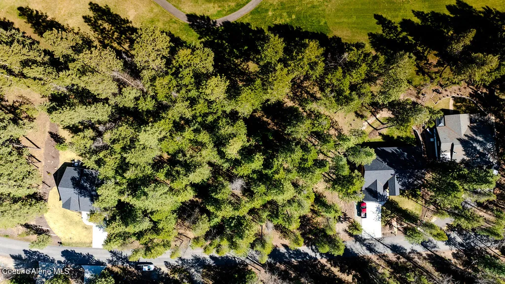 Nna Hanaford (lot 9) Blanchard ID 83804