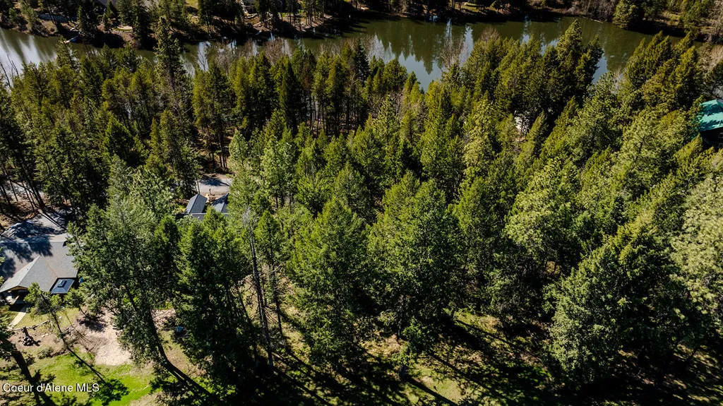 Nna Hanaford (lot 9) Blanchard ID 83804