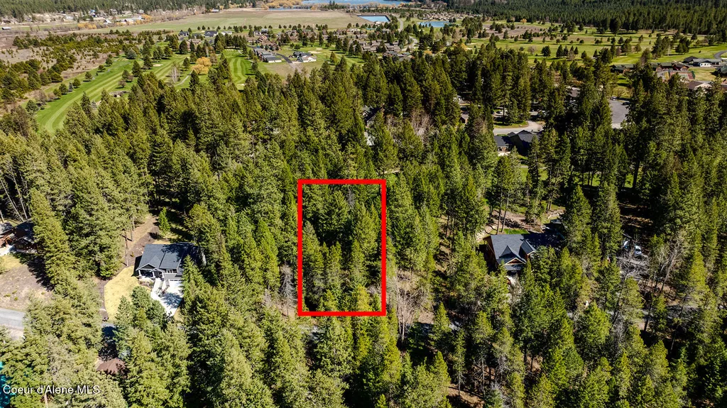 Nna Hanaford (lot 9) Blanchard ID 83804