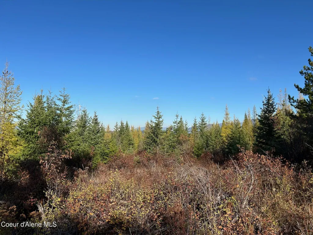Tract B Usfs 2222a Bonners Ferry ID 83805