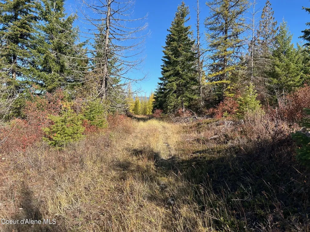 Tract B Usfs 2222a Bonners Ferry ID 83805
