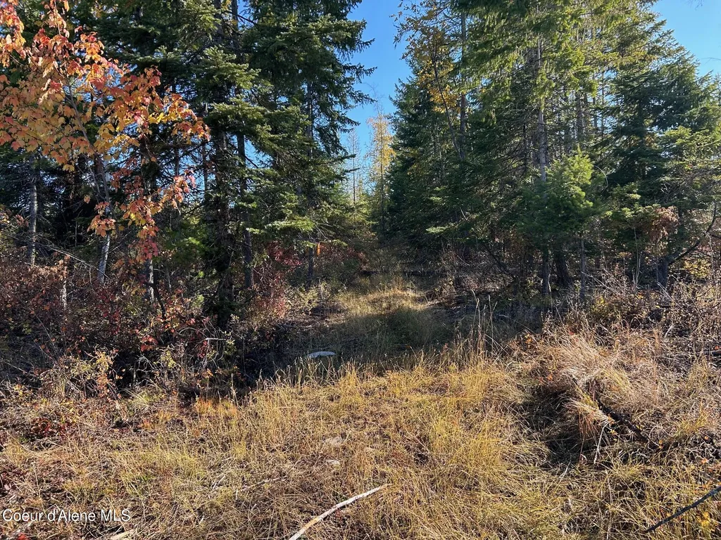 Tract B Usfs 2222a Bonners Ferry ID 83805