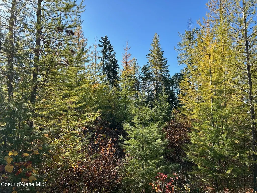 Tract B Usfs 2222a Bonners Ferry ID 83805