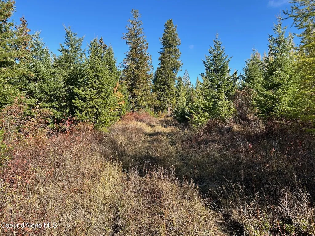 Tract B Usfs 2222a Bonners Ferry ID 83805