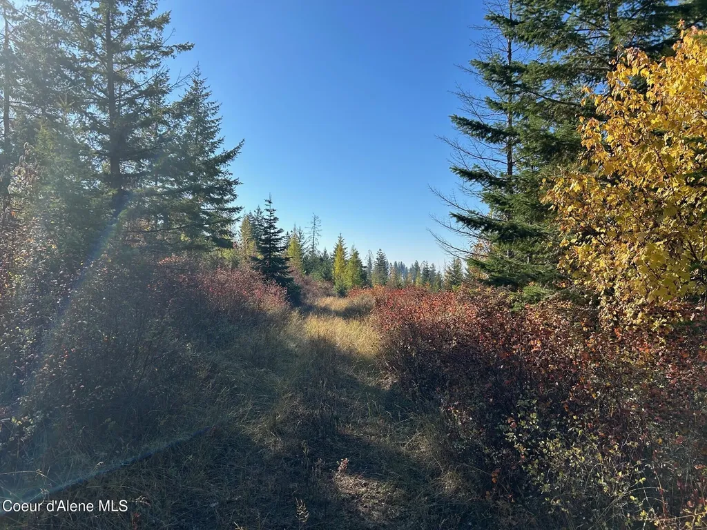 Tract B Usfs 2222a Bonners Ferry ID 83805