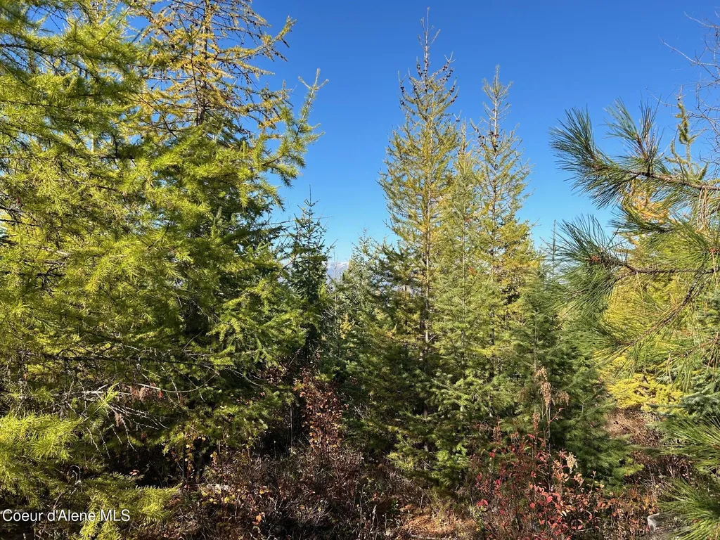 Tract B Usfs 2222a Bonners Ferry ID 83805