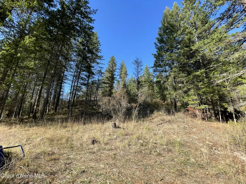 Nna Midlake Drive Sagle ID 83860