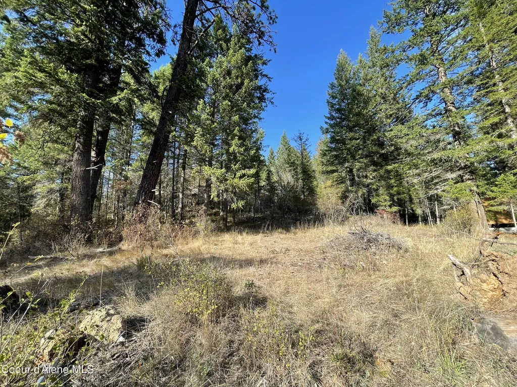 Nna Midlake Drive Sagle ID 83860