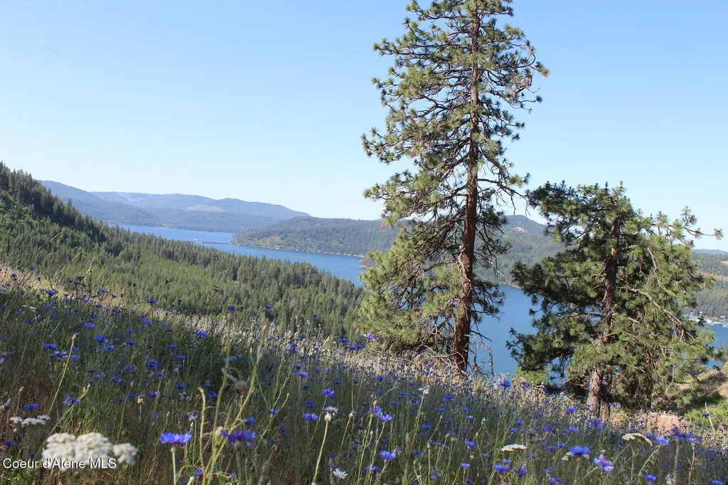 10A Honor Road Harrison ID 83833