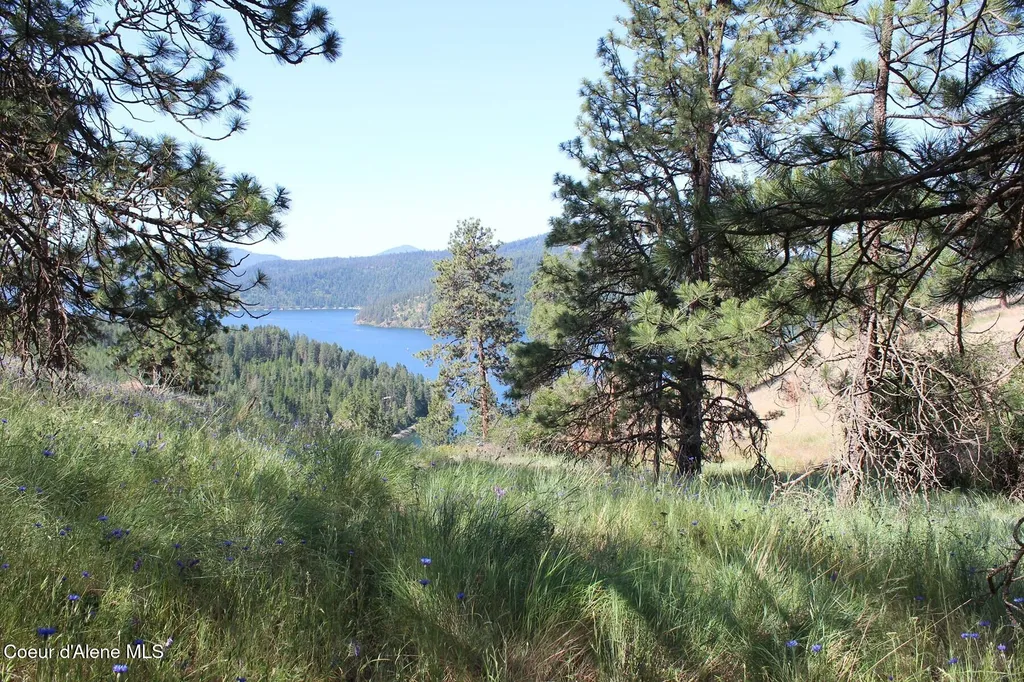 10A Honor Road Harrison ID 83833