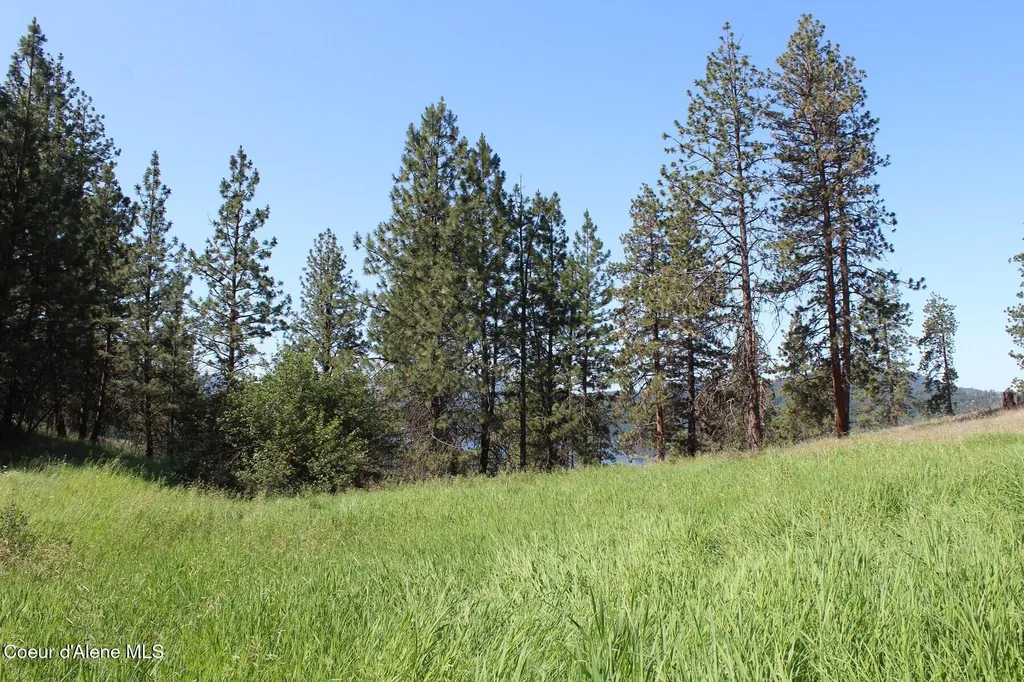 10A Honor Road Harrison ID 83833