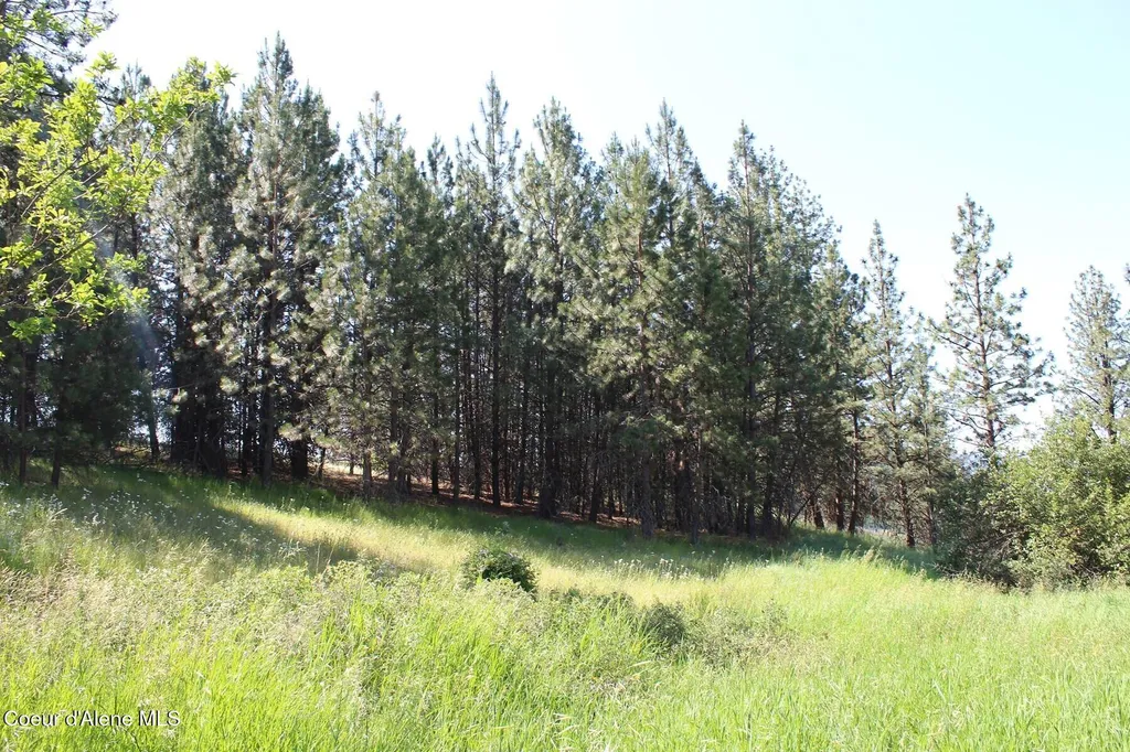 10A Honor Road Harrison ID 83833