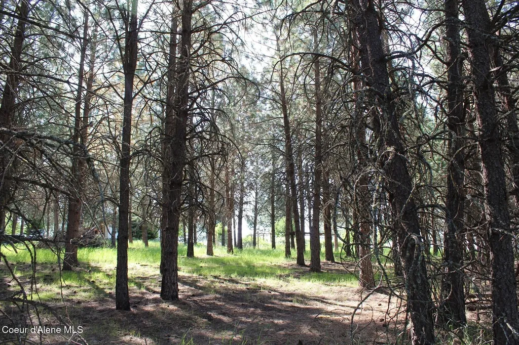 10A Honor Road Harrison ID 83833