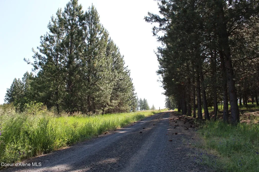 10A Honor Road Harrison ID 83833
