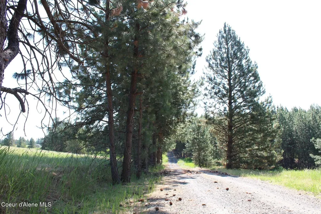 10A Honor Road Harrison ID 83833