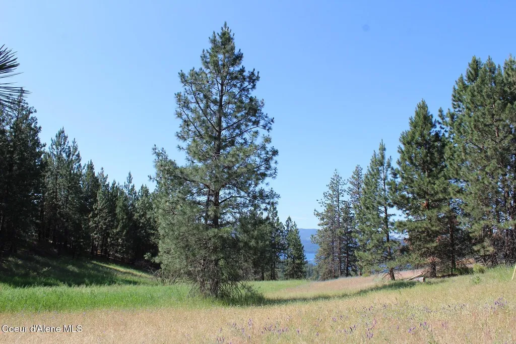 10A Honor Road Harrison ID 83833