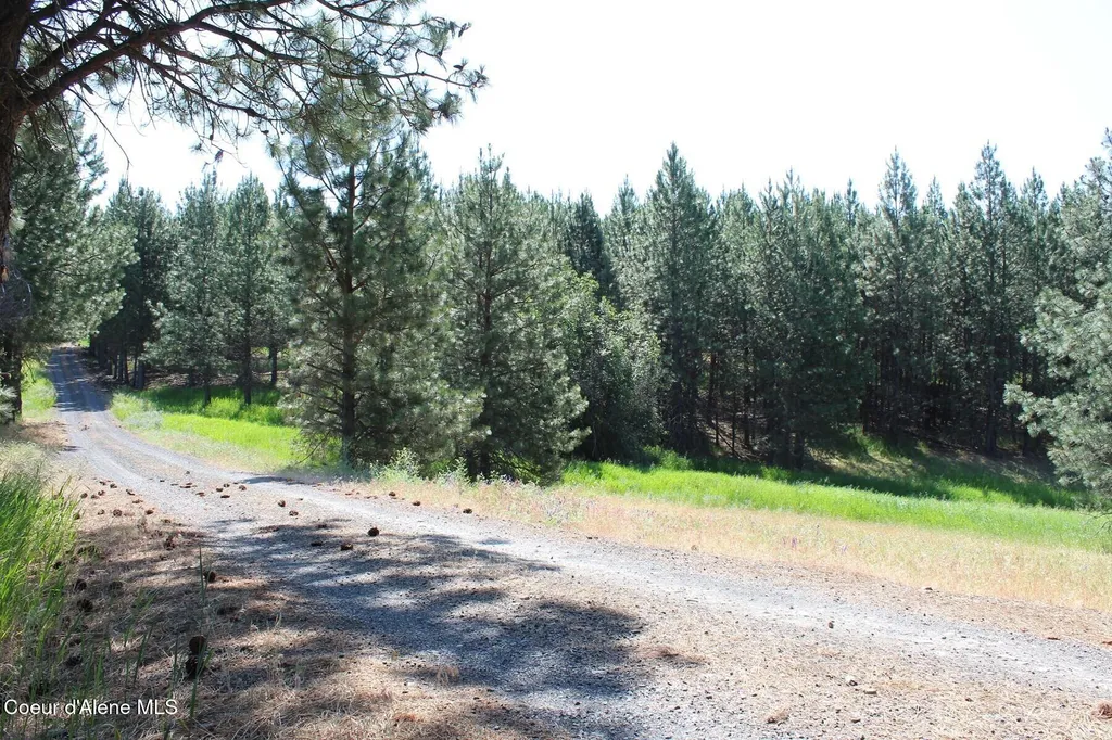 10A Honor Road Harrison ID 83833