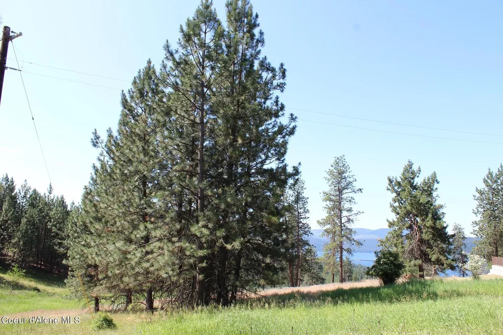 10A Honor Road Harrison ID 83833