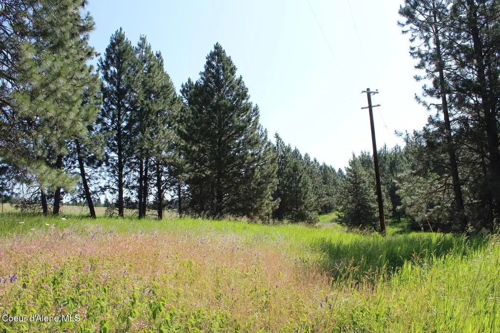 10A Honor Road Harrison ID 83833