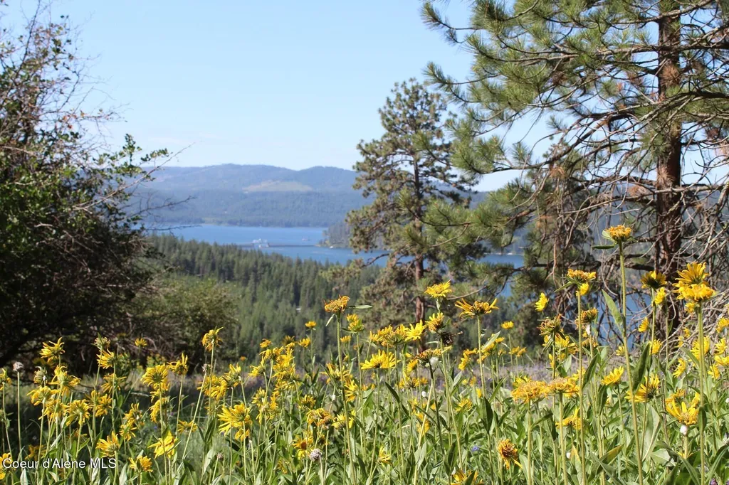 10A Honor Road Harrison ID 83833