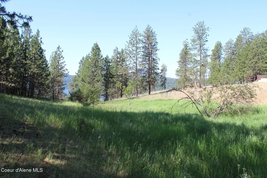 10A Honor Road Harrison ID 83833
