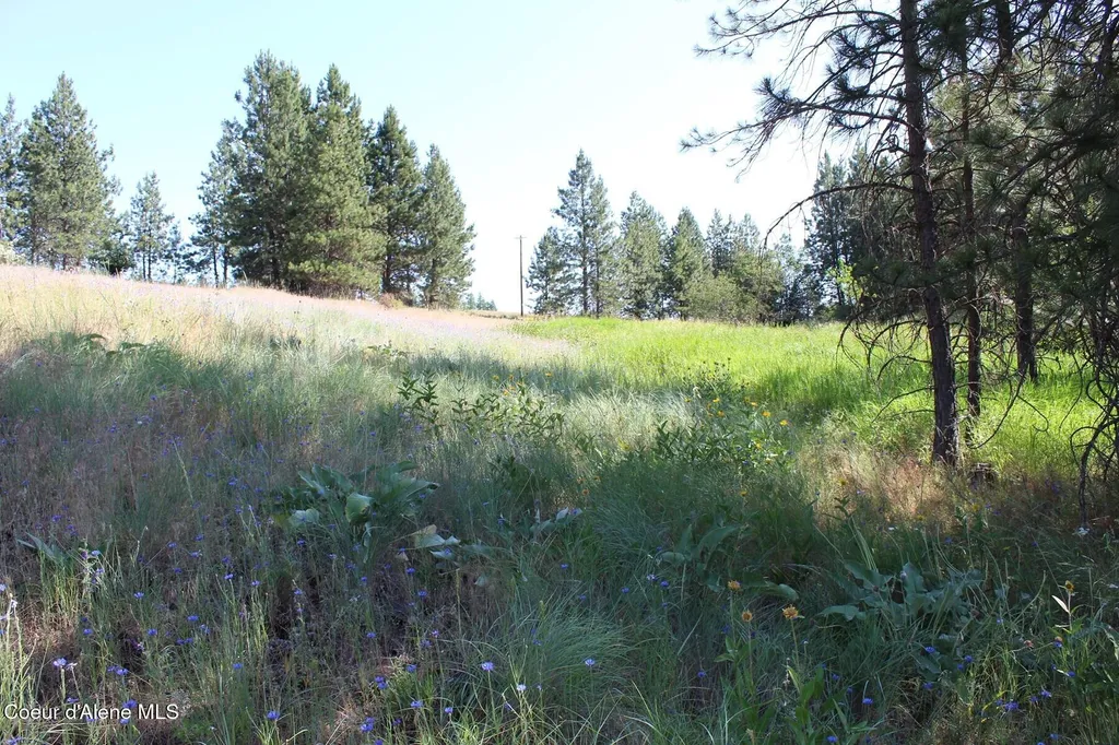 10A Honor Road Harrison ID 83833